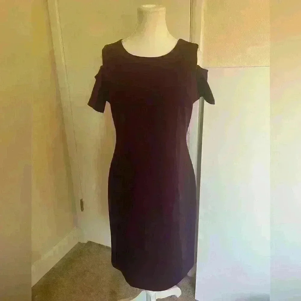 Tommy Hilfiger NWT Size 10 Beautiful Wine/Burgundy Dress
